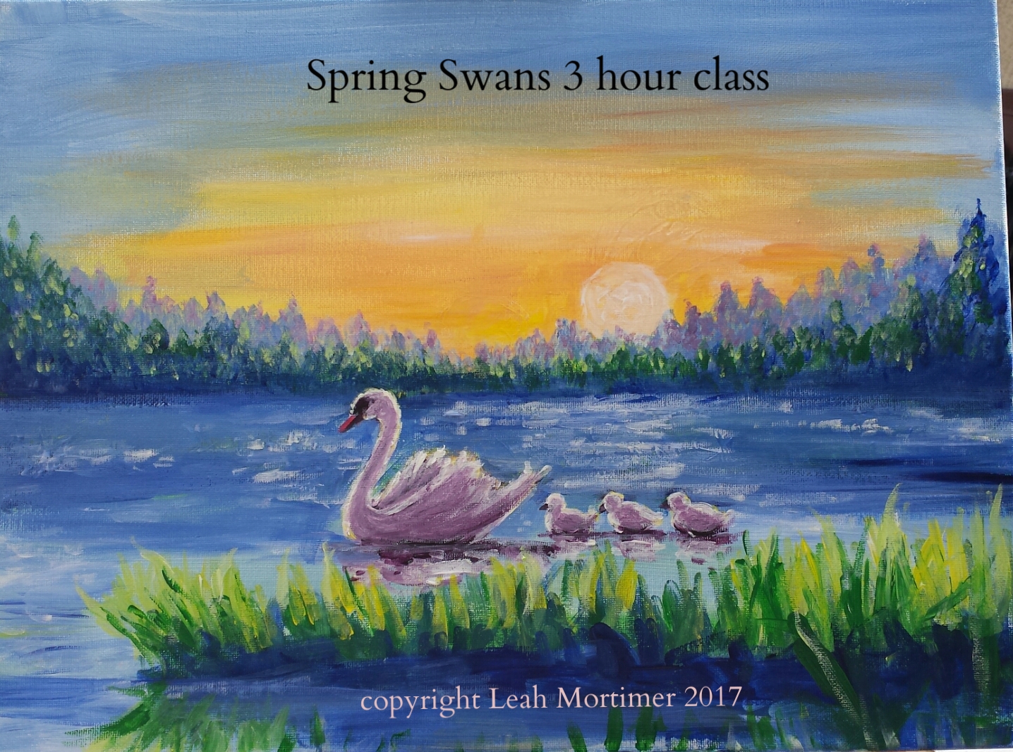 spring swans.png