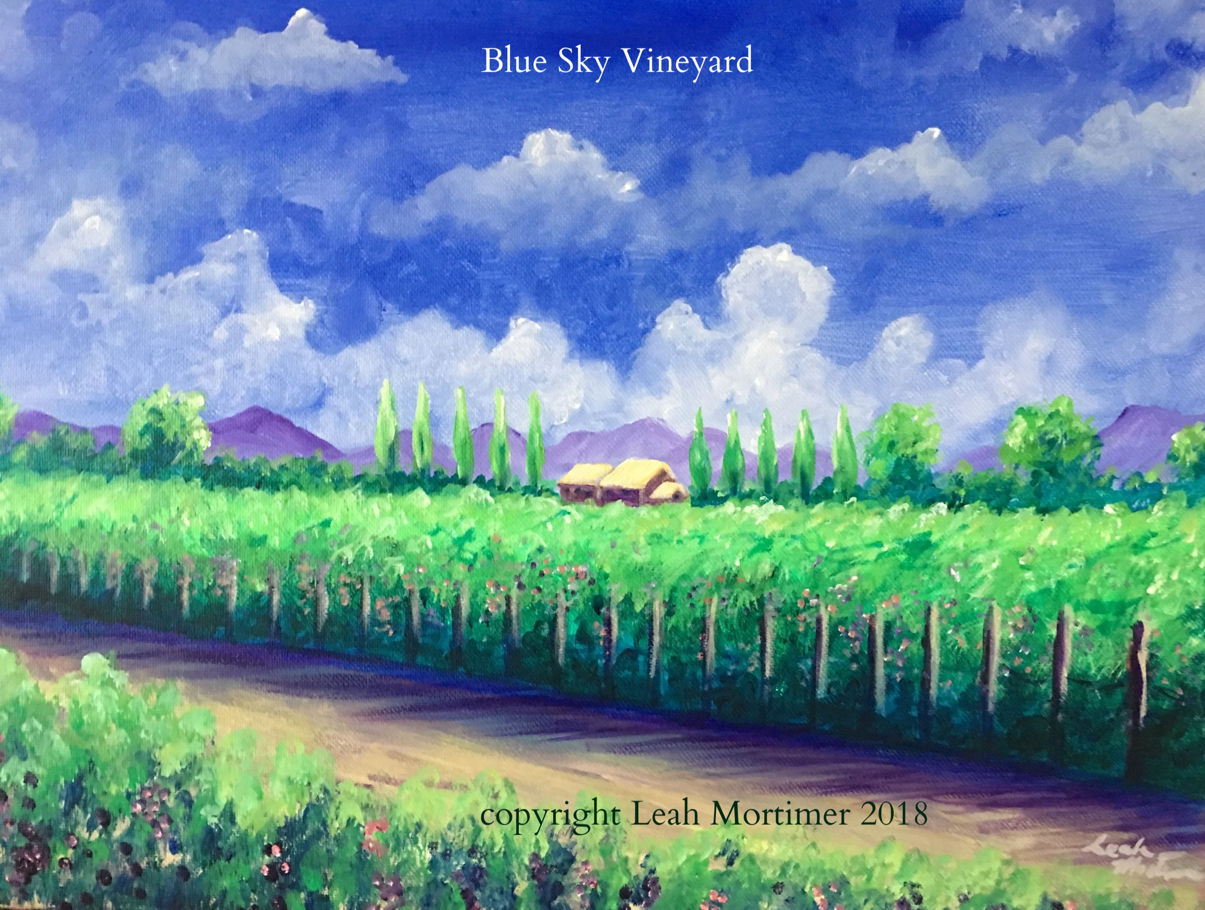 blue sky vineyard.JPG