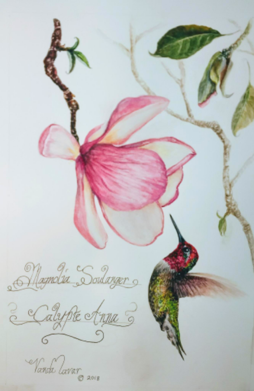 Watercolor Hummingbird.png