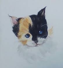 watercolor kitten.jpg