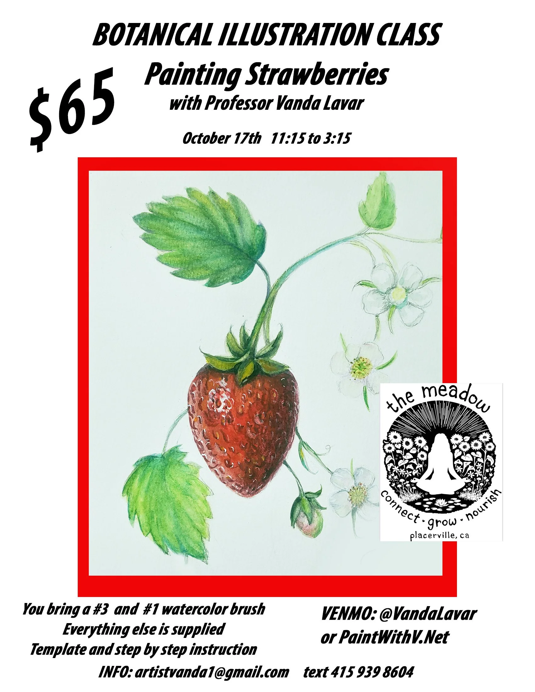 Strawberry class.jpg