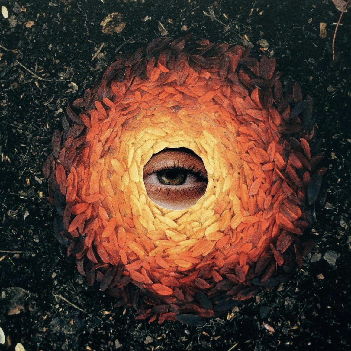 Screen Shot 2021-12-28 at 12.08.58 PM.png