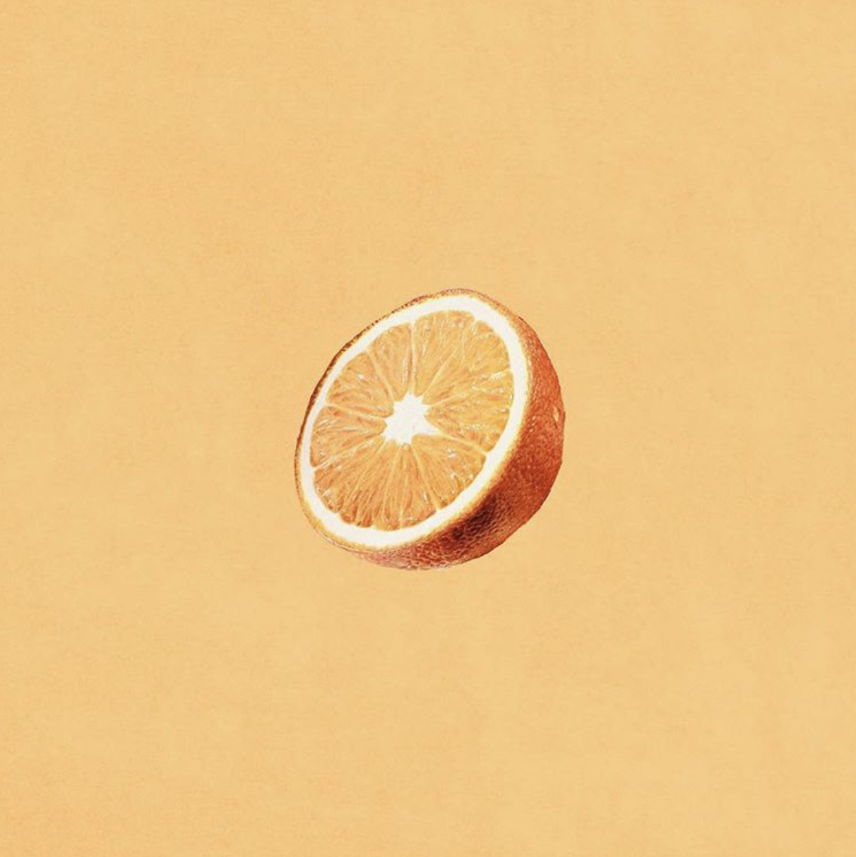 Screen Shot 2021-12-28 at 2.16.18 PM.png