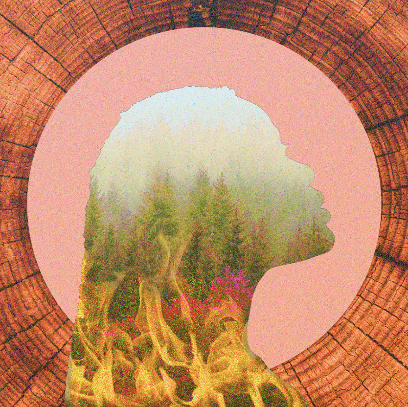 Screen Shot 2022-05-24 at 4.47.45 PM.png