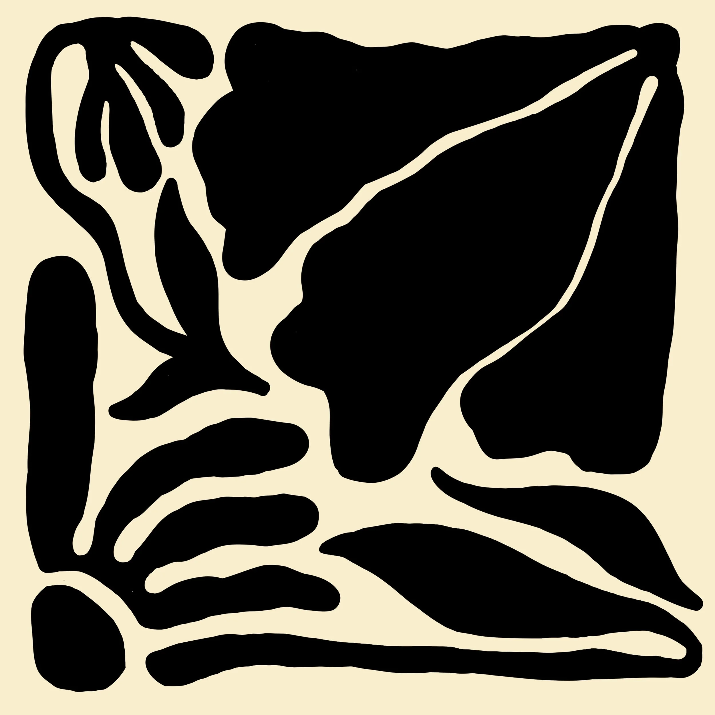 MATISSE FOLIAGE_AJ_04 (9X9).jpg