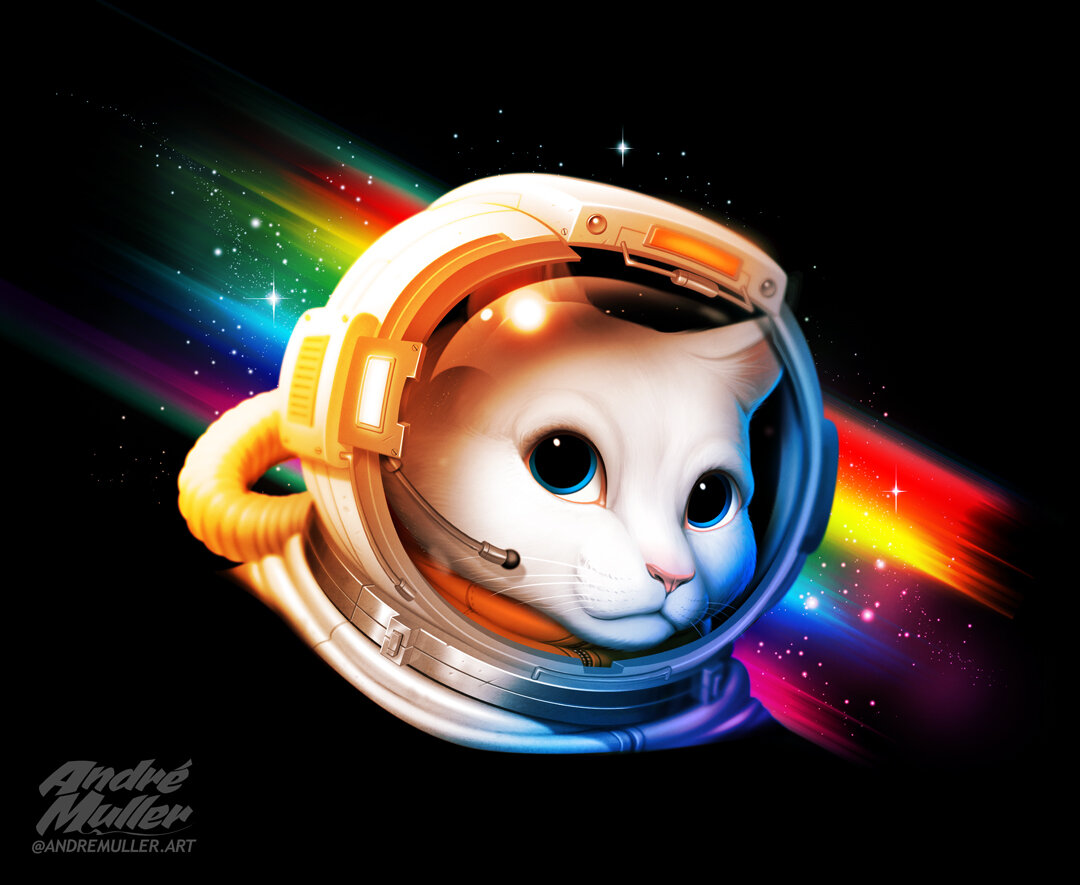 astronaut cat.jpg