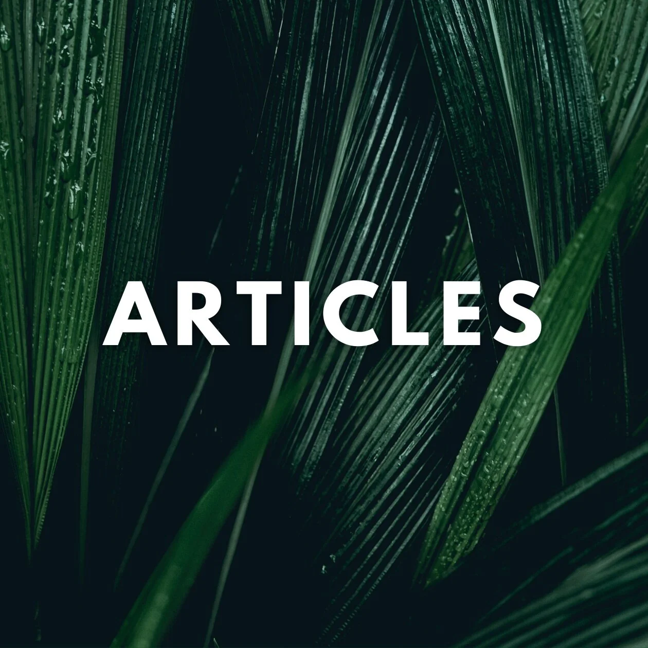 ARTICLES.jpg