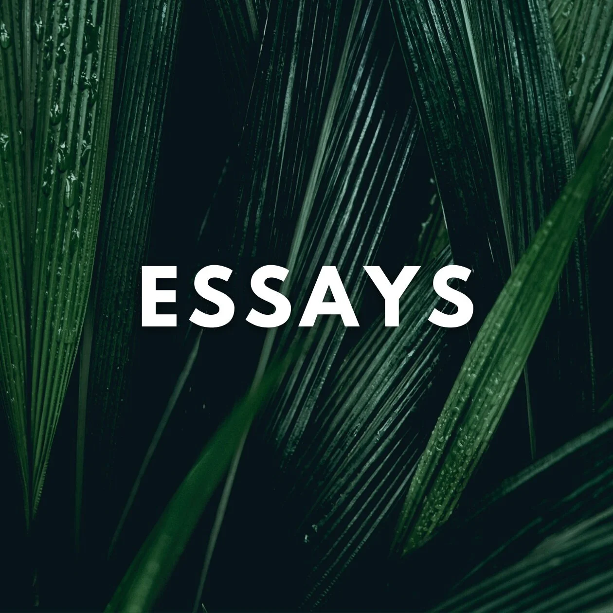 ESSAYS.jpg