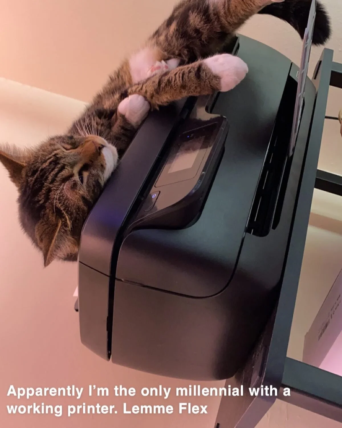 Apparently I&rsquo;m the only millennial with a working printer 🤣