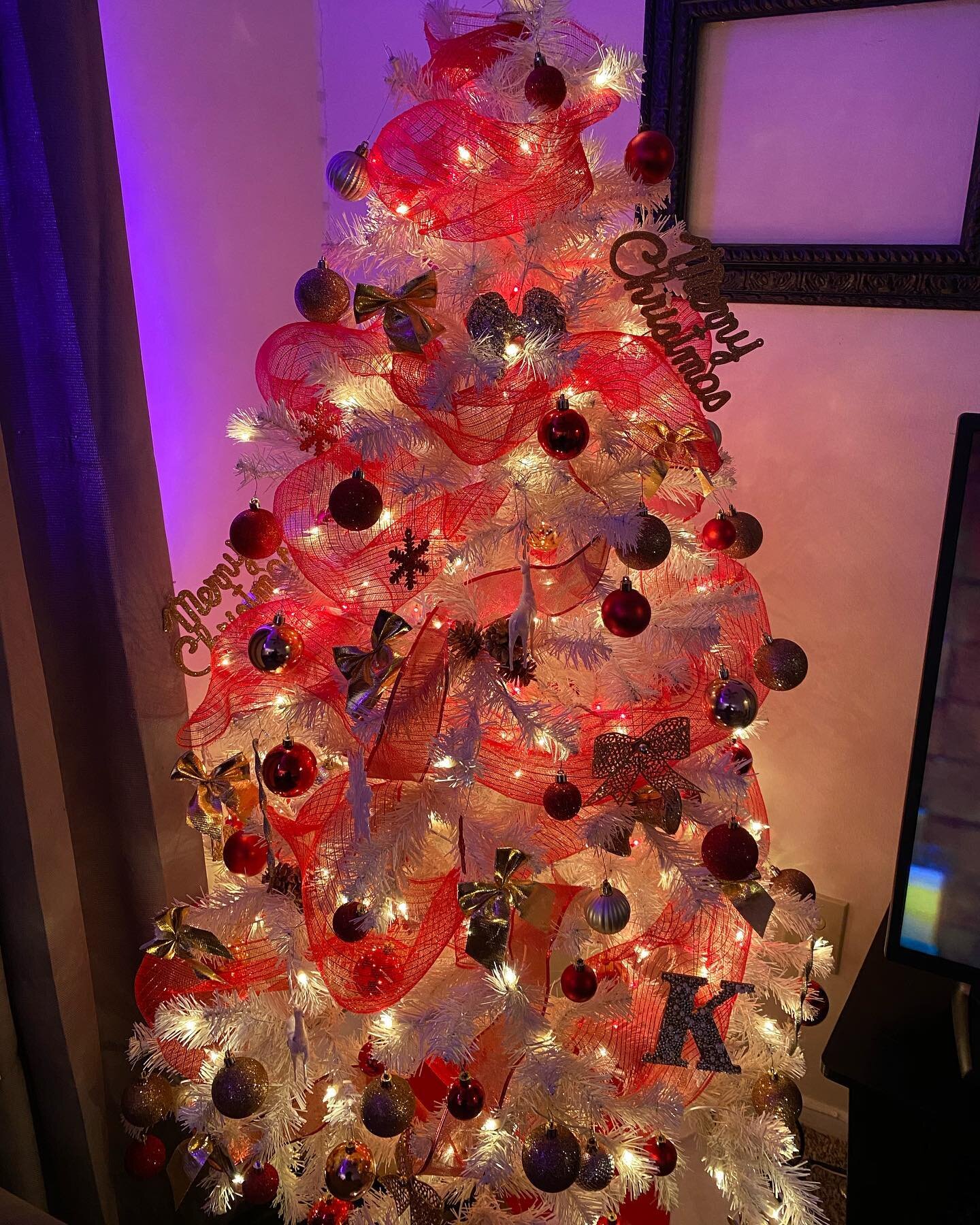 My Christmas tree has been up since mid-November and Charlei approves 

#christmas #holidays