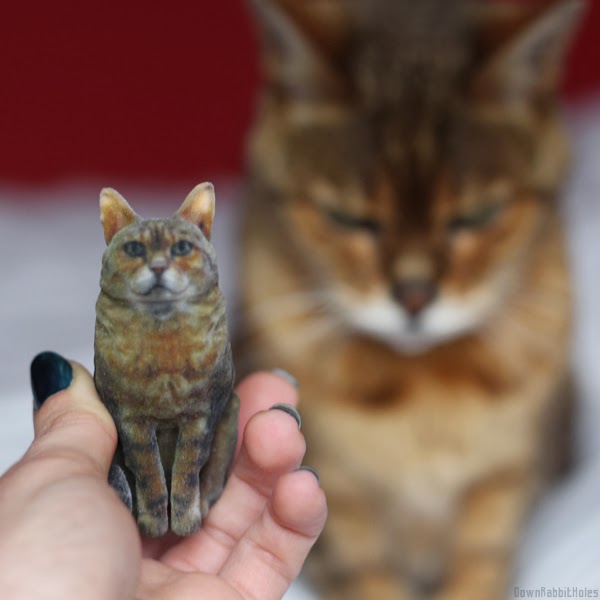 3D Print Your Favorite Pet