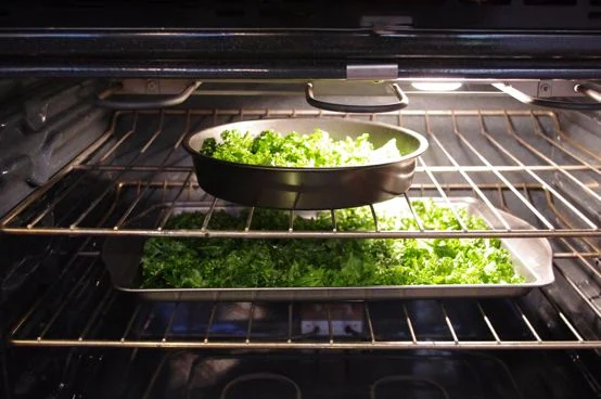 kale chips3