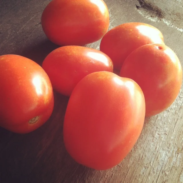 tomatoes