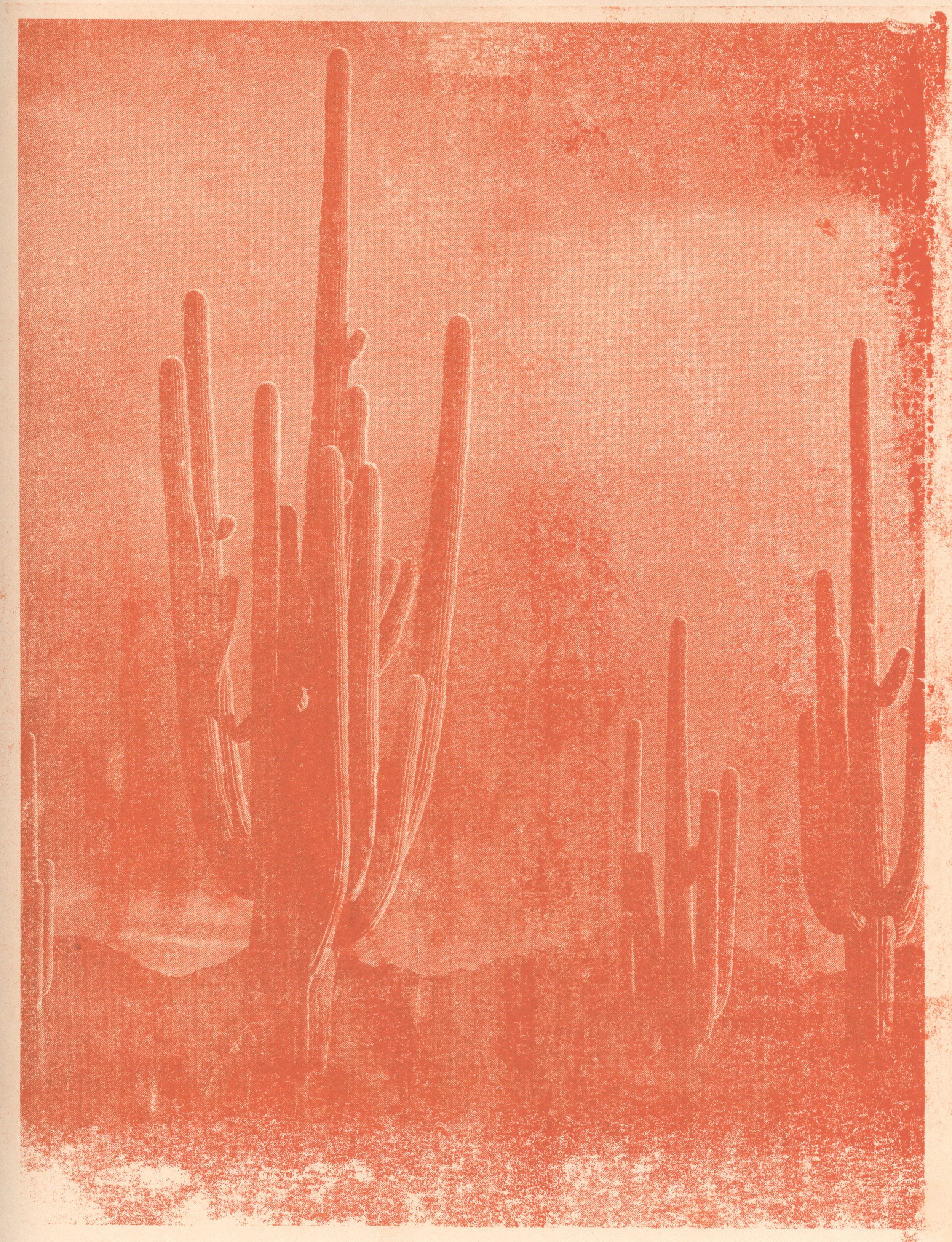 saguaro.jpg
