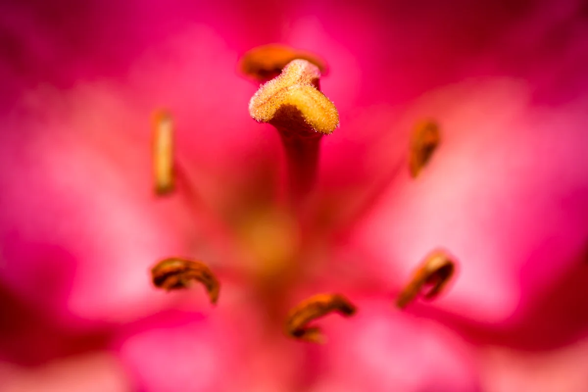 DSCF3534.jpg