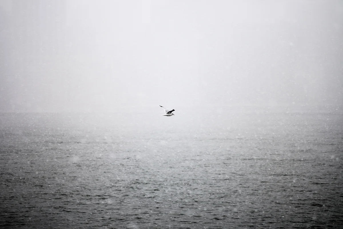 DSCF6410.jpg