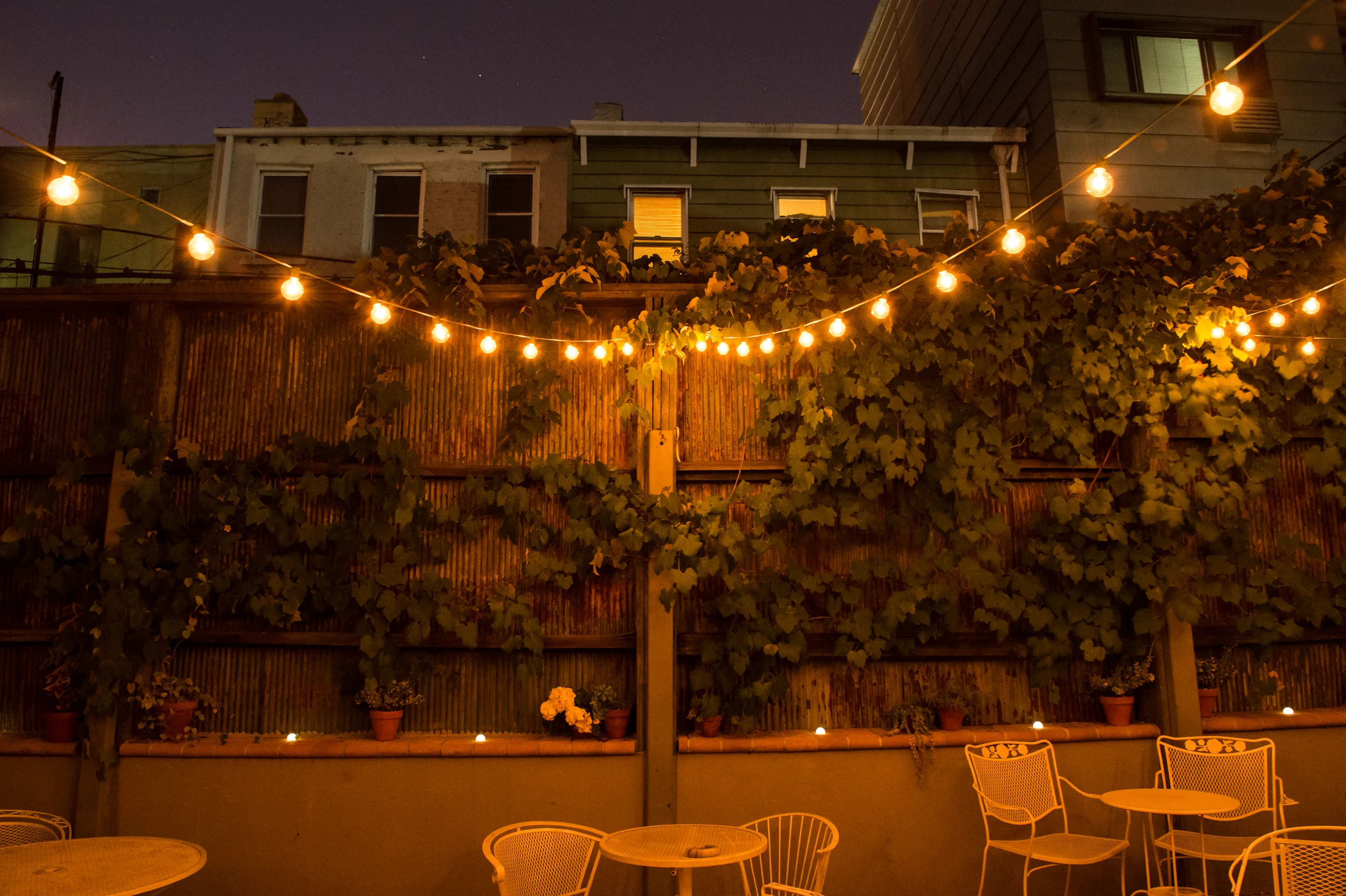 Williamsburg garden