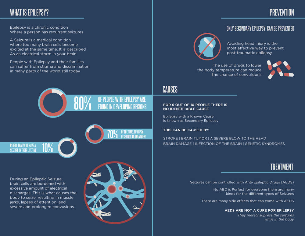 Epilepsy Infographic