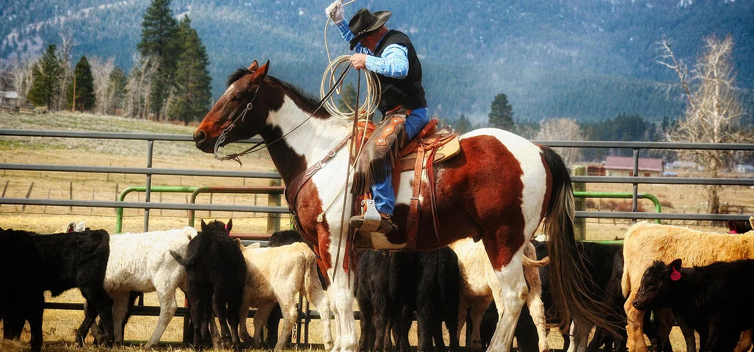 The Bridle Horse Shop Corvallis, Montana