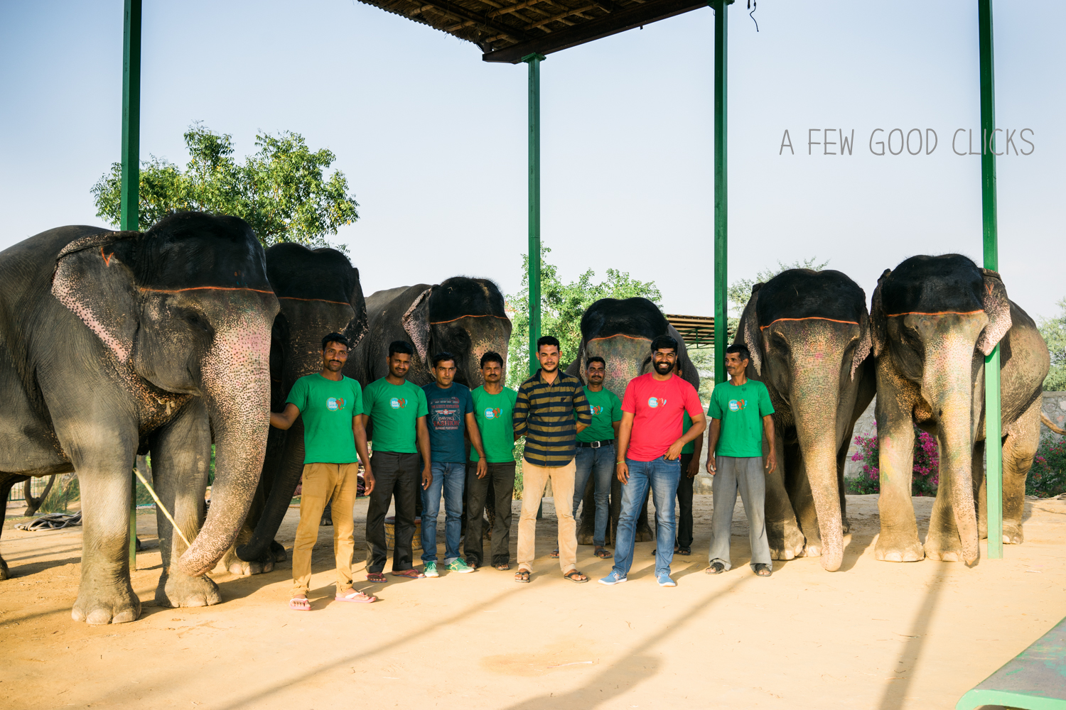 Why Is Everyone Talking About Elefantastic In Jaipur On Trip