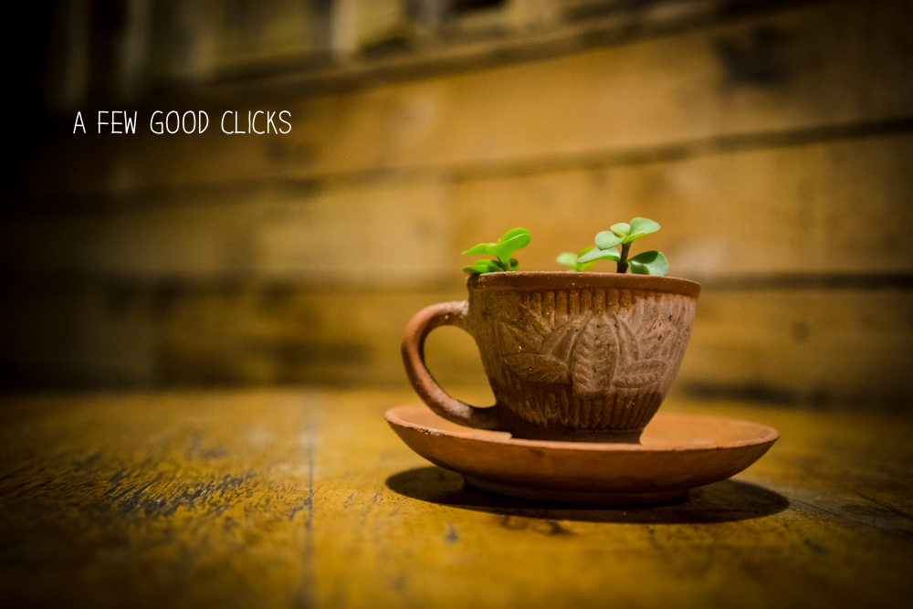 jaipur-restaurant-food-photographer-afewgoodclicks-net-rolla-wrappa-image