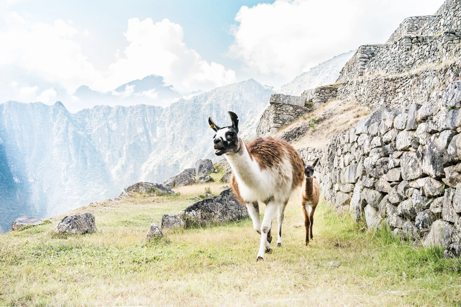 best-of-peru-photographs-things-to-do-12-day-itinerary-a-few-good-clicks-net-278.jpg