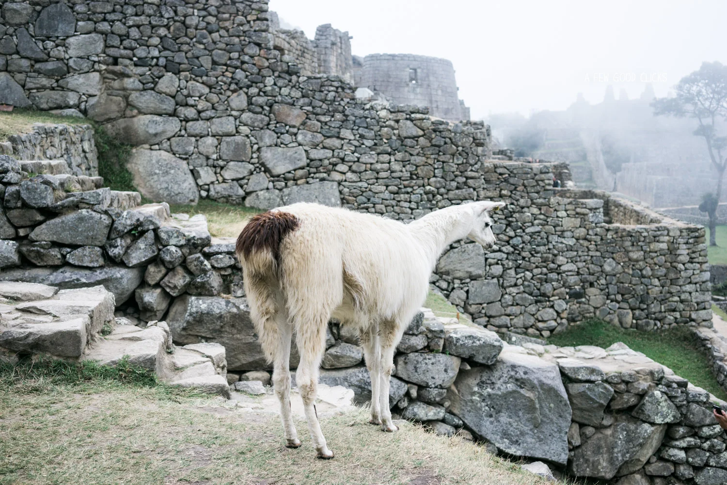 best-of-peru-photographs-things-to-do-12-day-itinerary-a-few-good-clicks-net-190.jpg