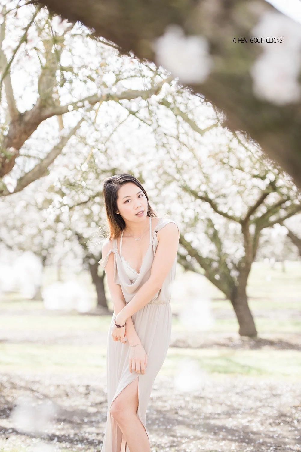 almond-blossom-lifestyle-portrait-photography-by-afewgoodclicks-net-24.jpg