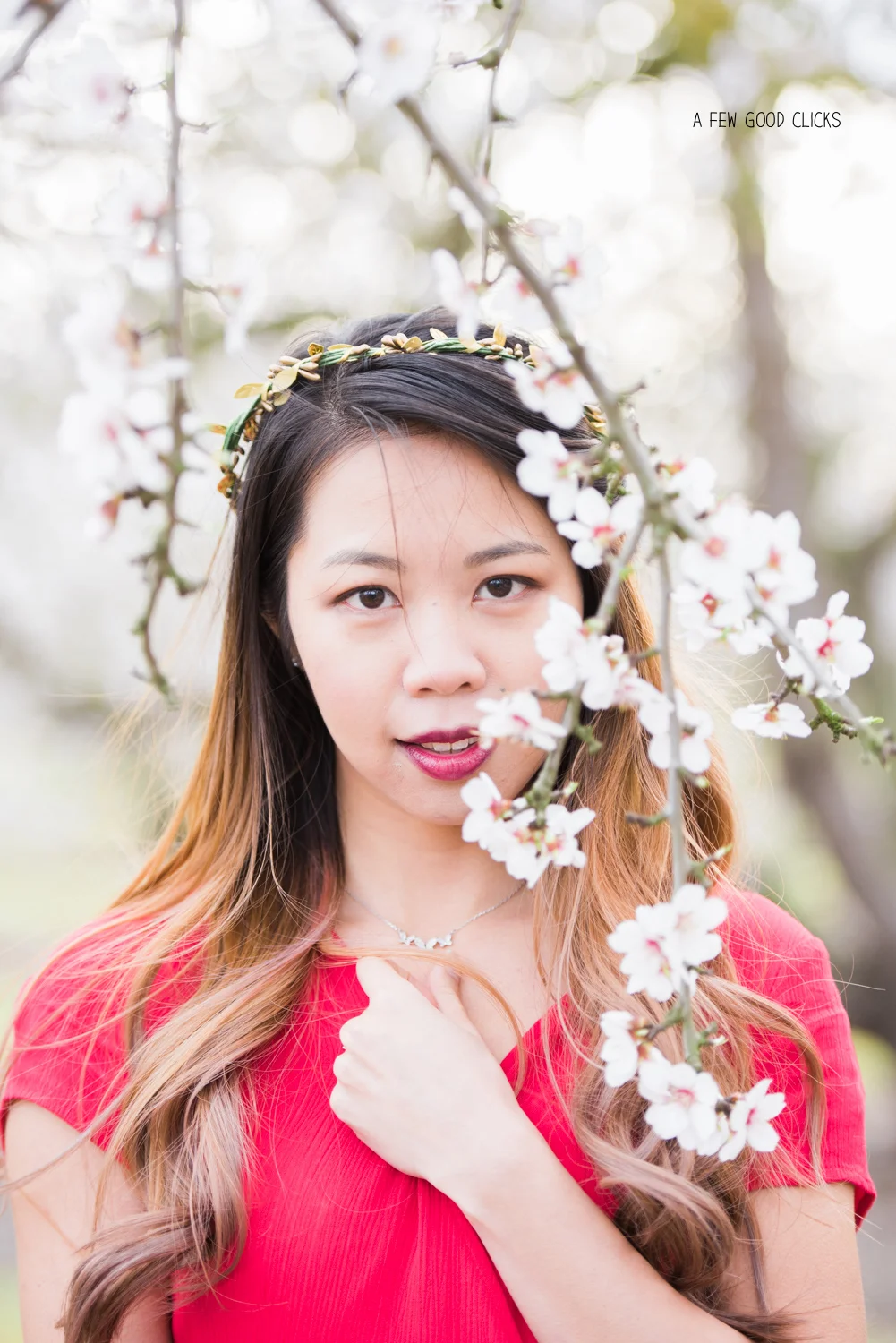 almond-blossom-lifestyle-portrait-photography-by-afewgoodclicks-net-121.jpg