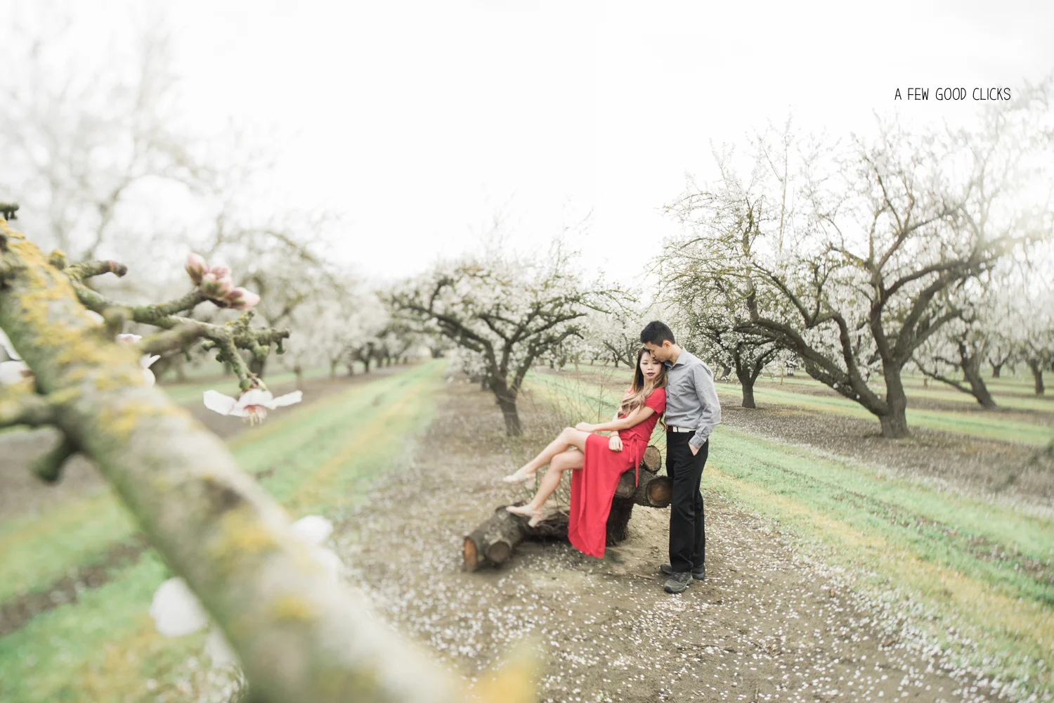 almond-blossom-portrait-photography-using-tilt-shift-by-afewgoodclicks-net-136.jpg