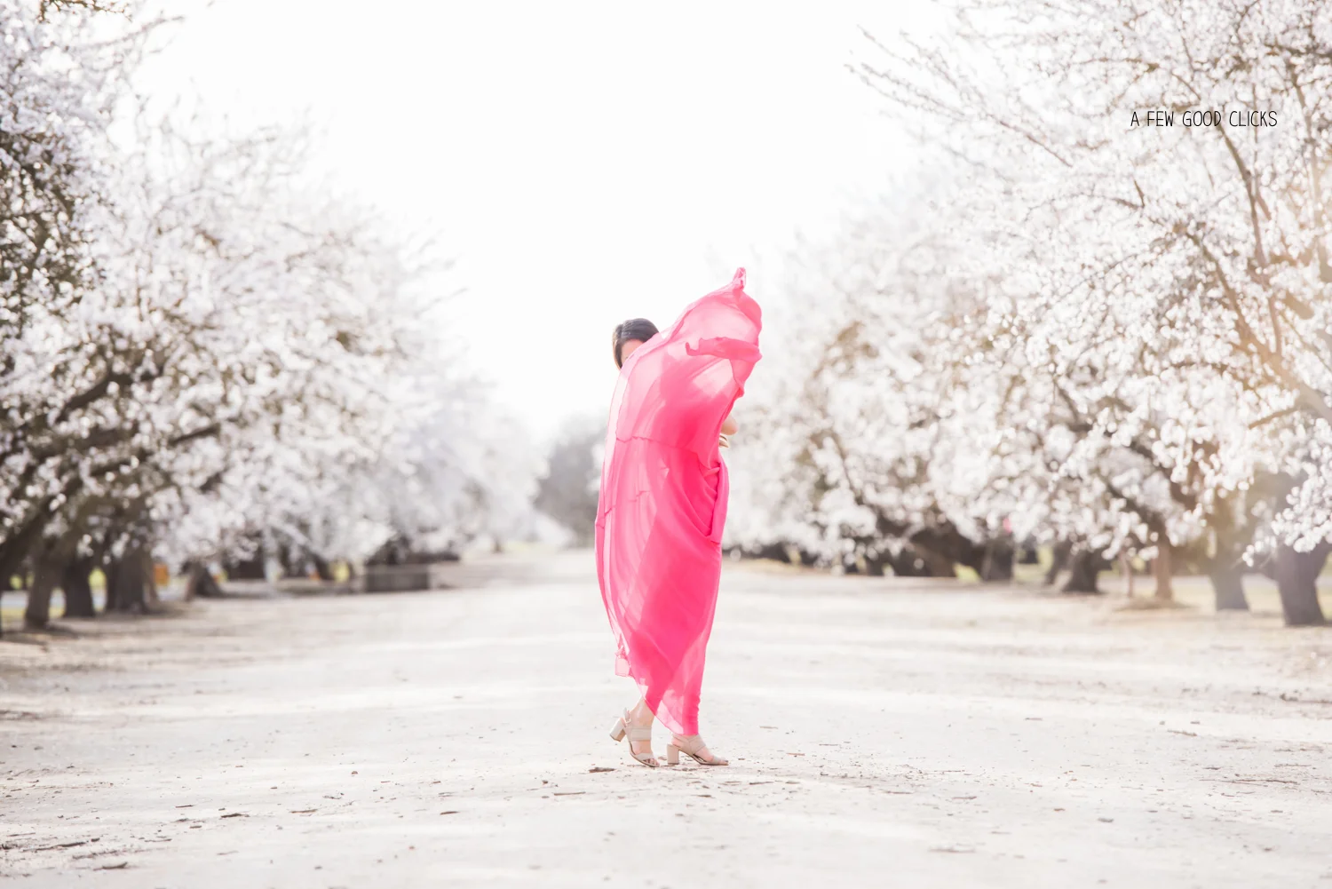 almond-blossom-lifestyle-portrait-photography-by-afewgoodclicks-net-149.jpg