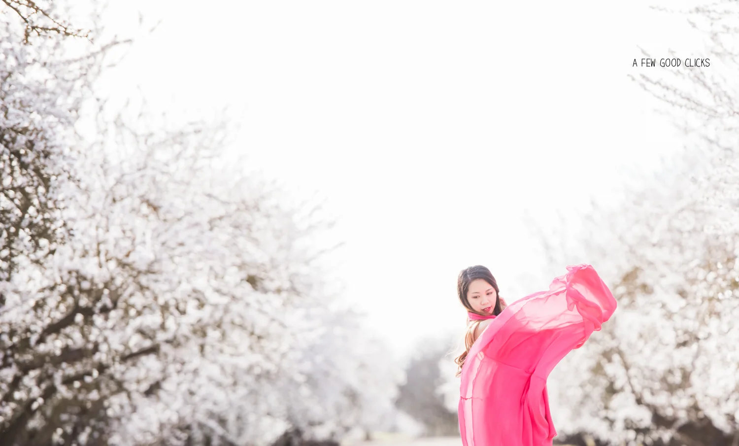 almond-blossom-lifestyle-portrait-photography-by-afewgoodclicks-net-150.jpg
