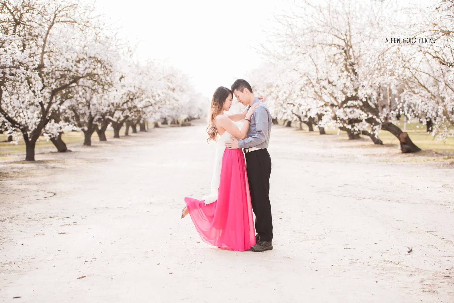 almond-blossom-lifestyle-portrait-photography-by-afewgoodclicks-net-163.jpg