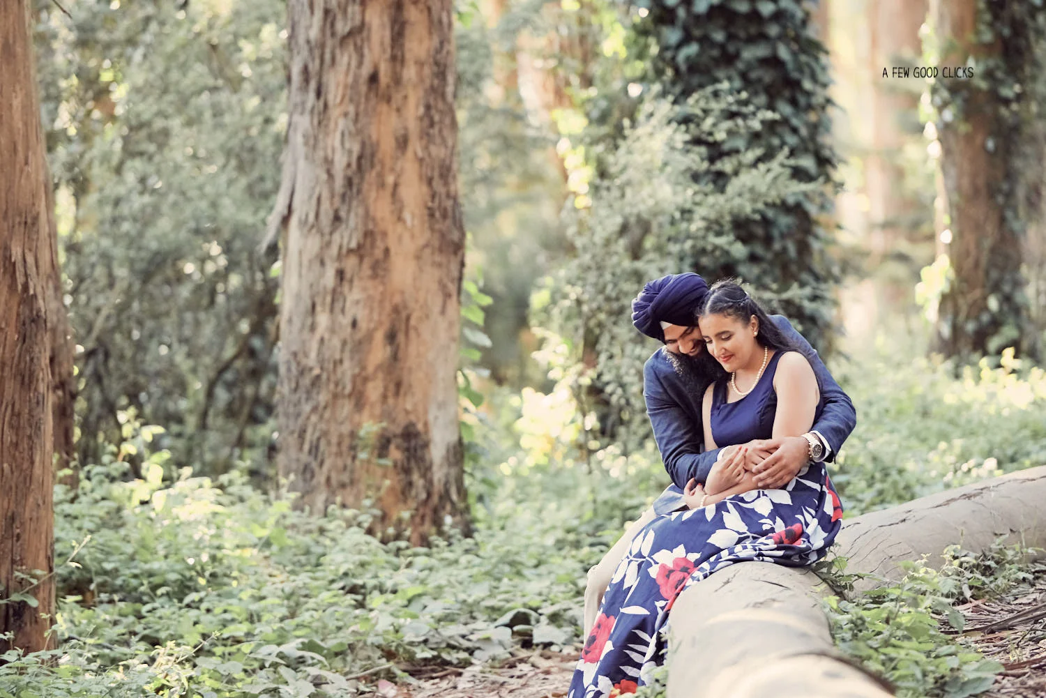 Beautiful Indian American Couple Portraits at 