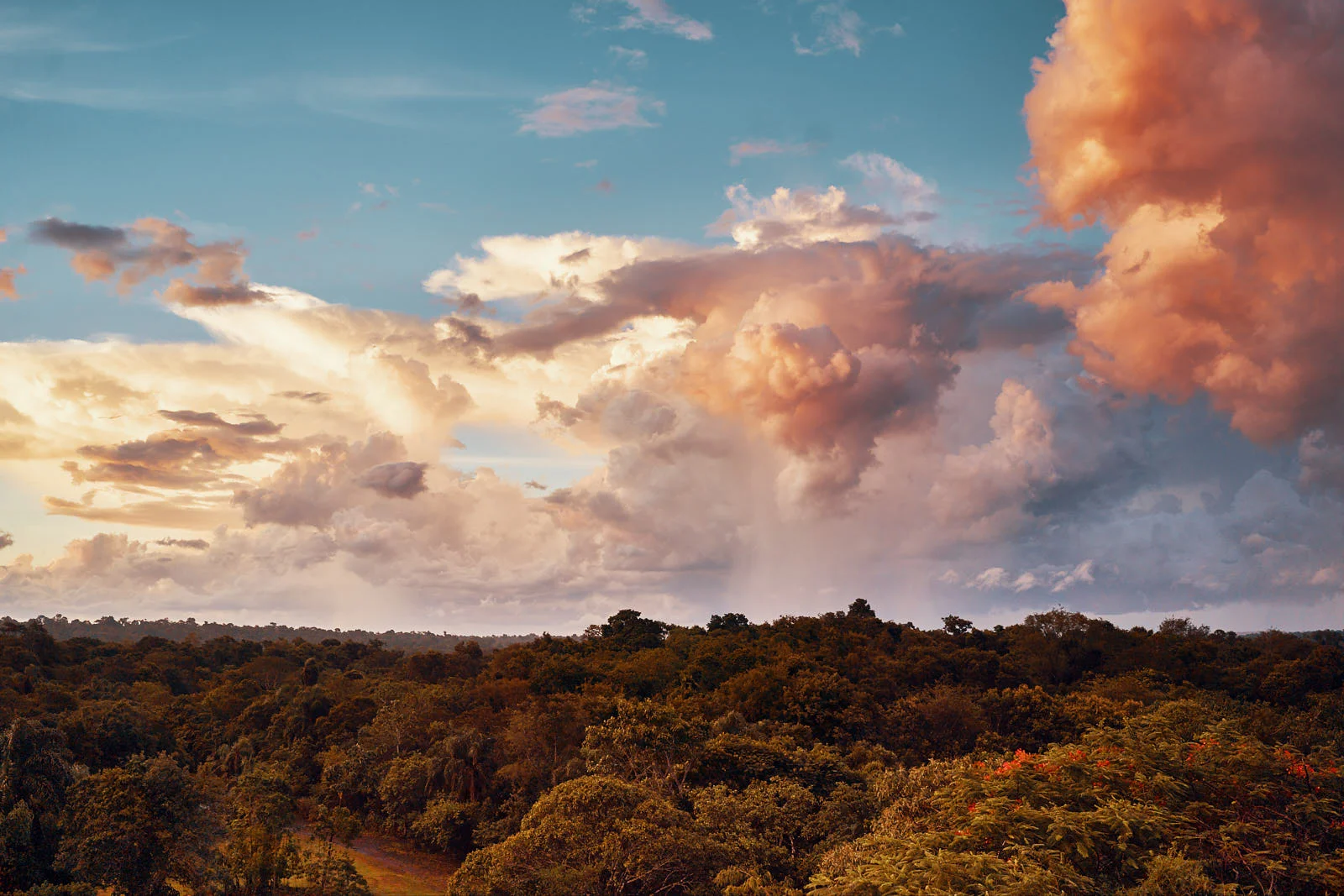 Colourful palette of clouds just before it started raining.