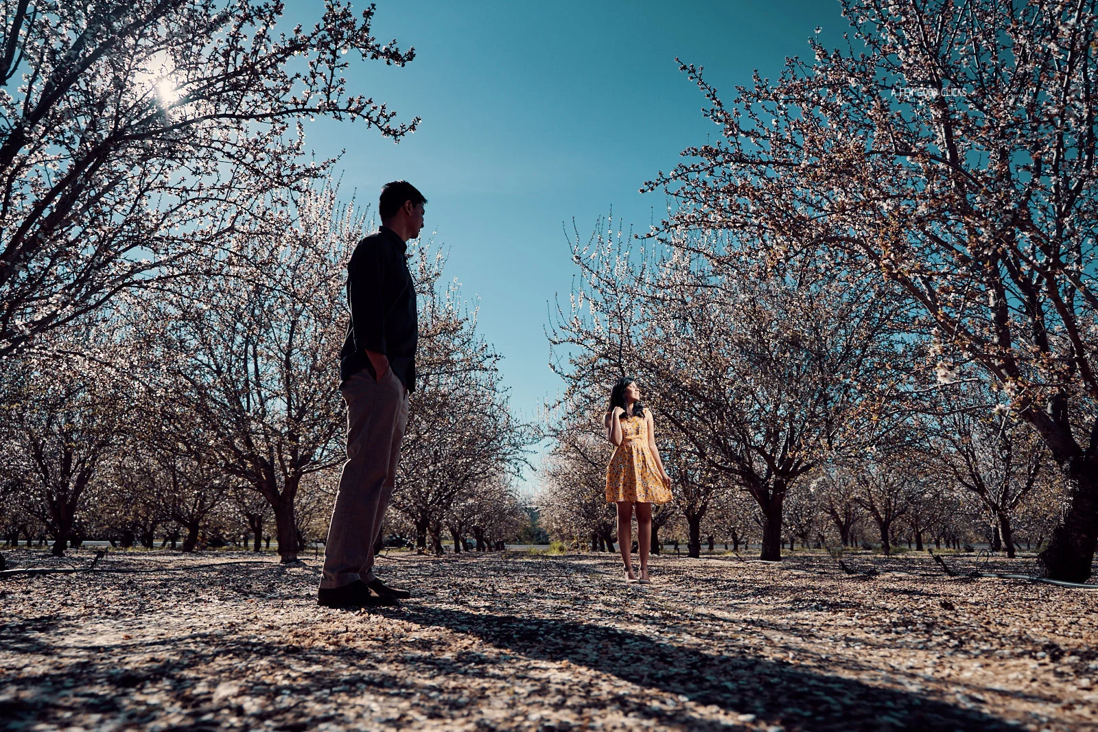engagement-photoshoot-almond-farms-bay-area-by-afewgoodclicks 109.jpg