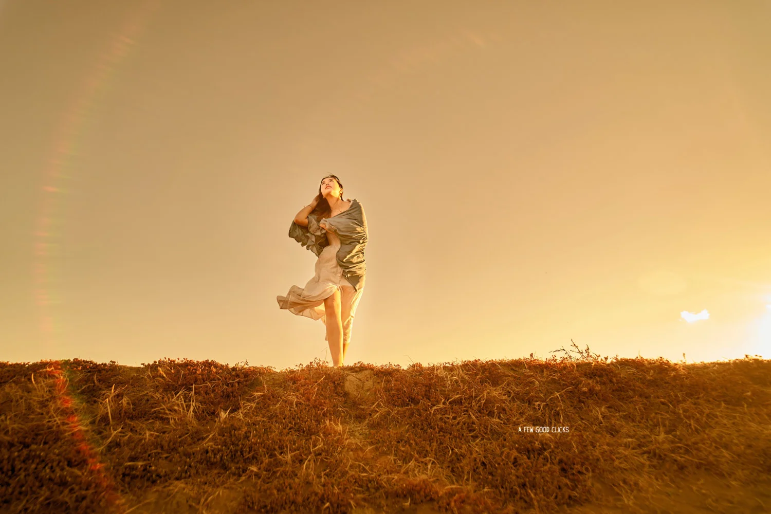 Lifestyle Portraits