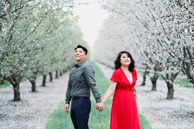 Another one from Almond Blossom engagement session. .
.
.
#afewgoodclicks #sonya7iii #bayareaengagementphotographer #bayareaengagementphotography #bestlocation #ocf #magbox #imengaged #bridestobe #chinesedress #coupleshoot #californiaengagementphotographer #cherryblossom #almondorchards #instadaily #instalove #localphotographer #elopementphotographer #destinationphotographers #californiaphotographer #sanjoseengagementphotographer #cherryblossomlove #couplesphotoshoot #bayareaphotographer #engagementphotographers #elopementphotographer #bayareaweddingphotographer #chinesecouple #chineseprewedding