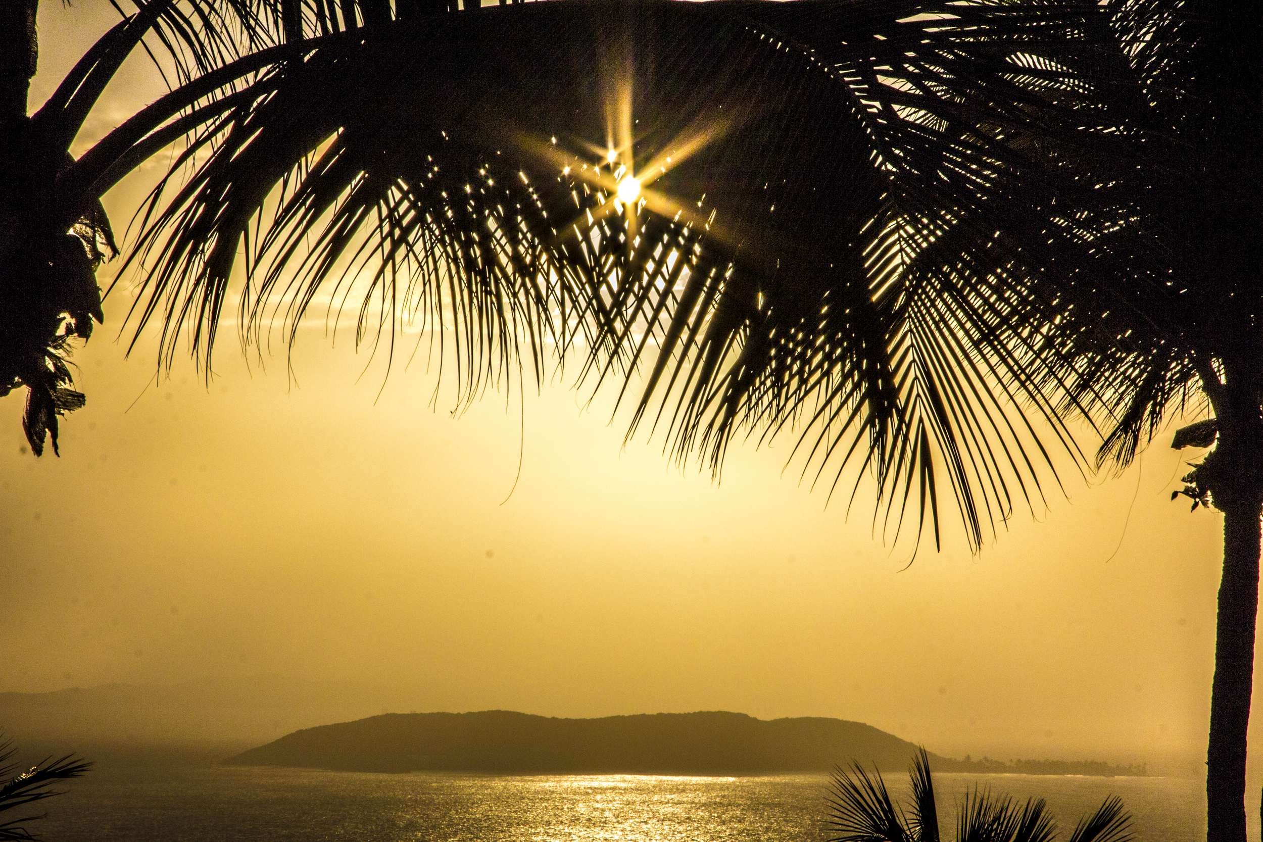 Palomino sunrise.jpg
