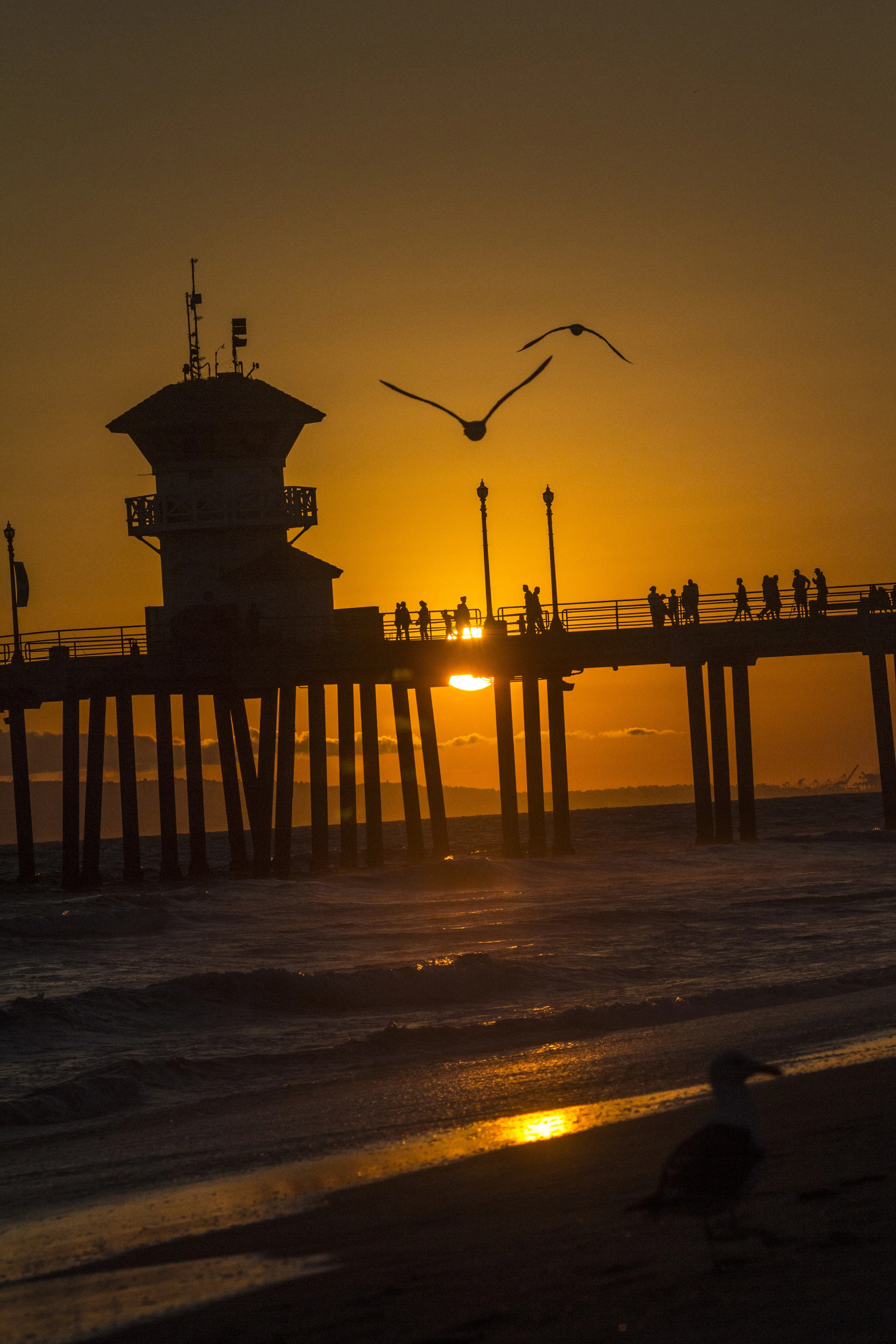 HB Sunset.jpg