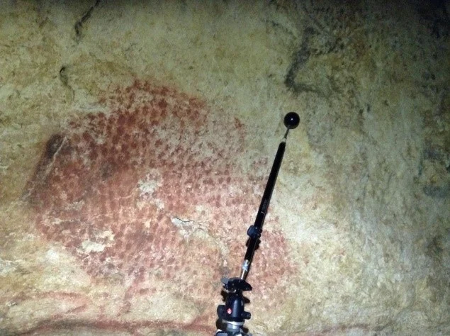 The Dotted Bison