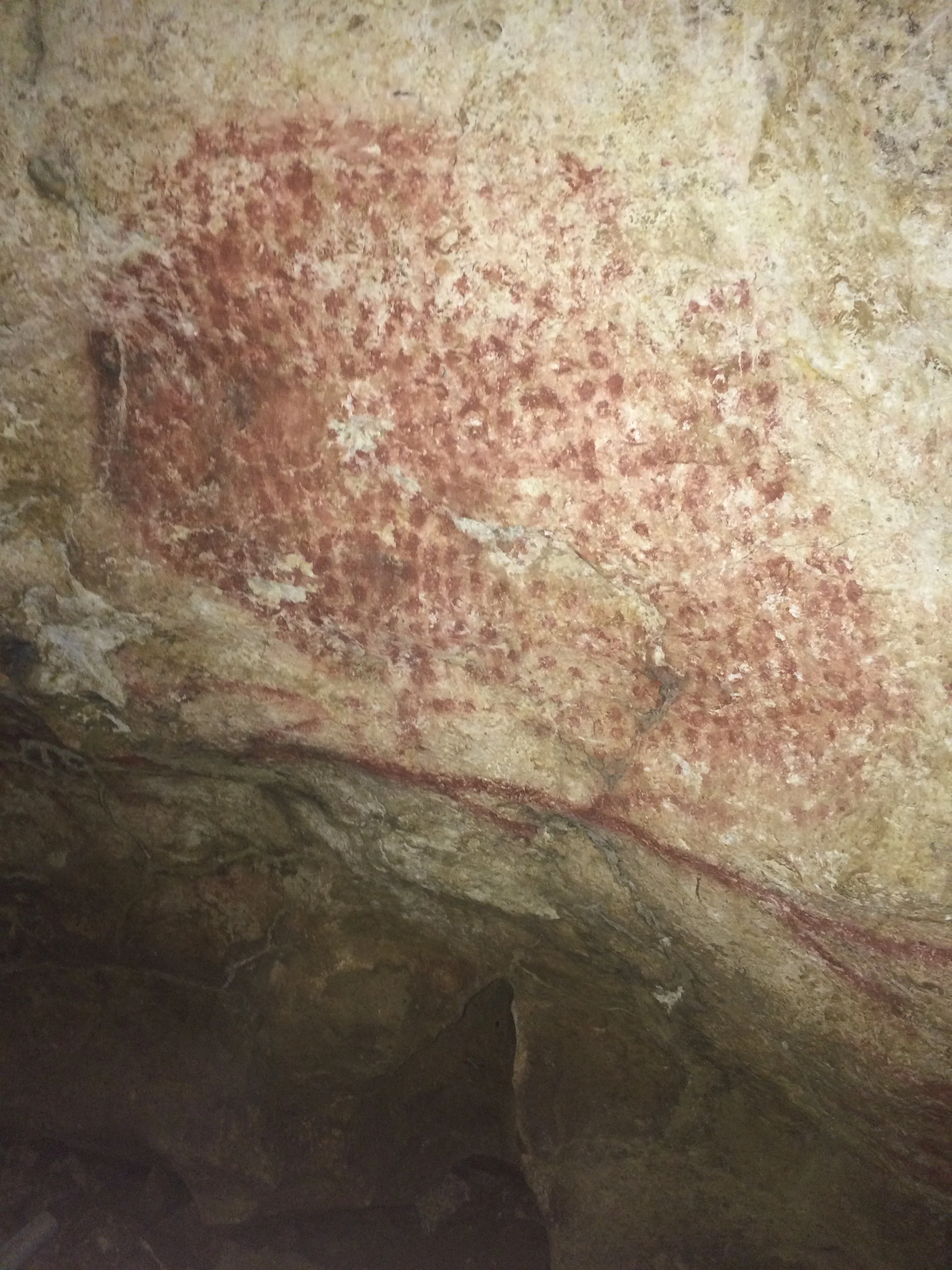 An example of cave painting in the interior of Marsoulas cave