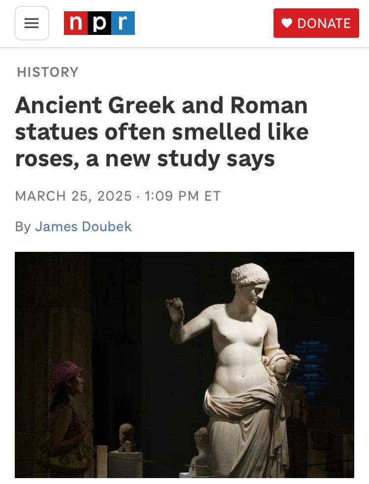 25-173.jpeg