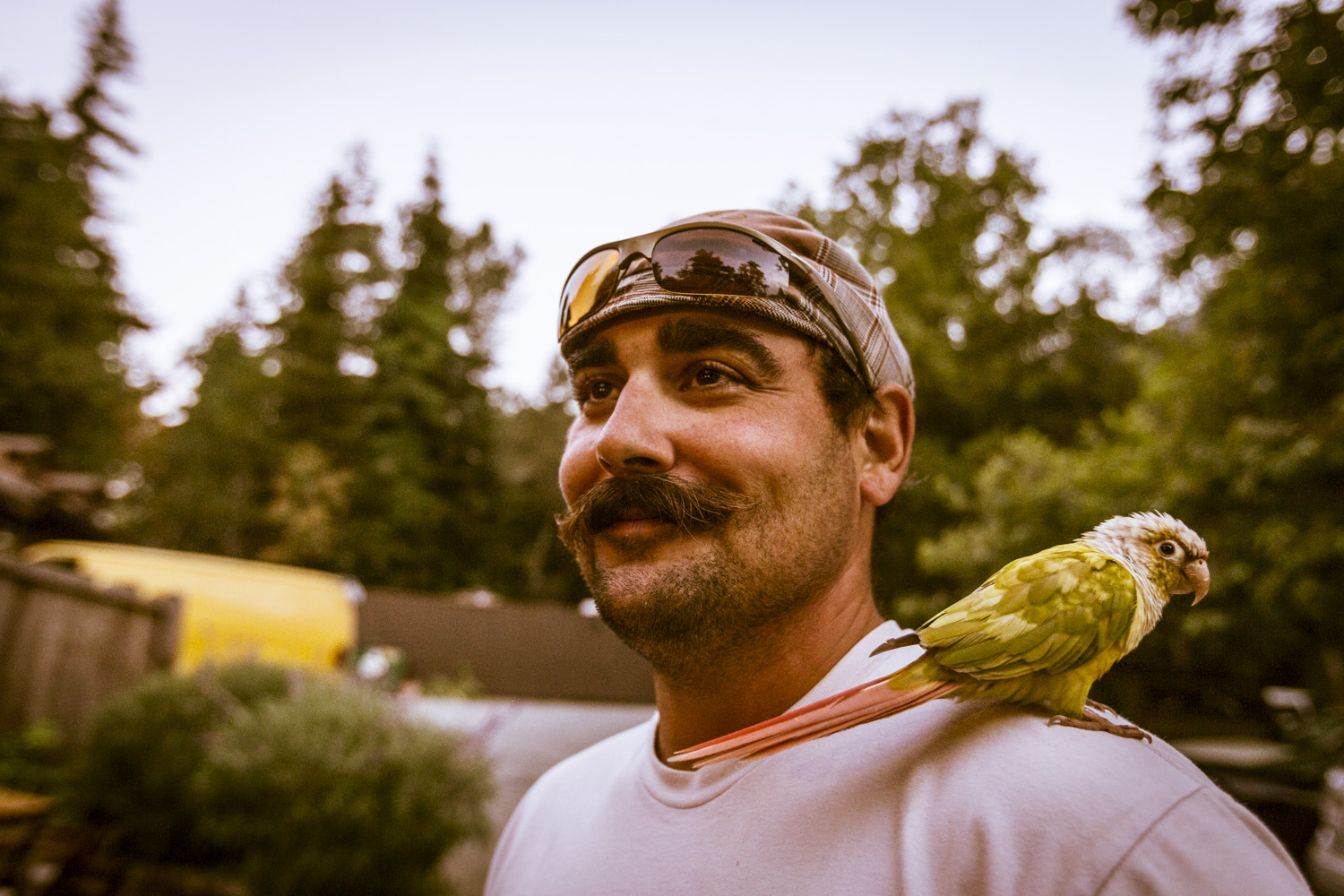 This guy biked 150 miles from San Fran to Big Sur with this parrot on his shoulder.