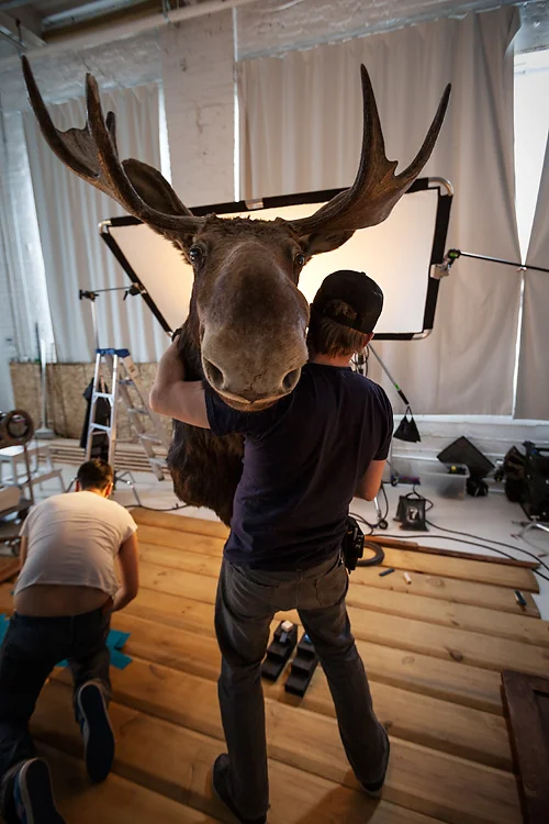Aaron Hoskins man handles the moose!