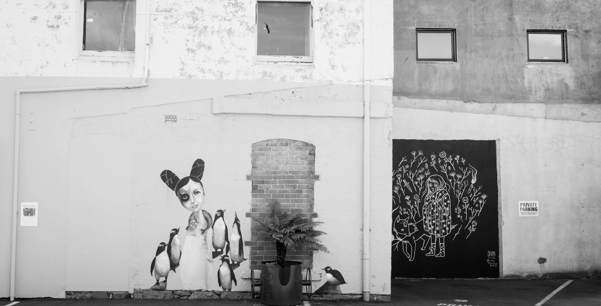 emmafrancesca street art 5.jpg