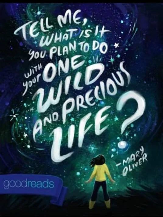 Your wild and precious life. Limiting Beliefs and The Work