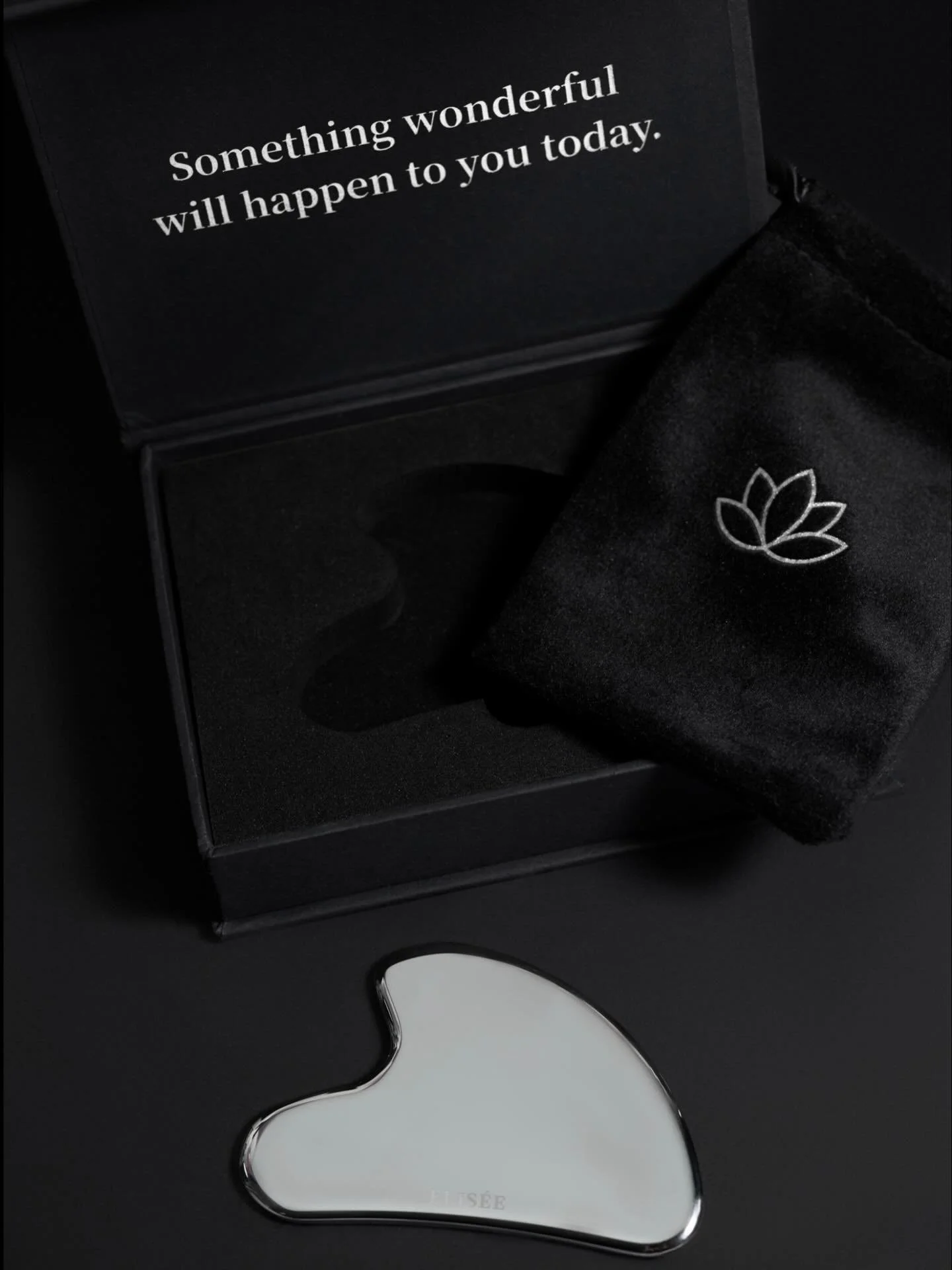 The Sculpture - our Stainless Steel Guasha by ELIS&Eacute;E