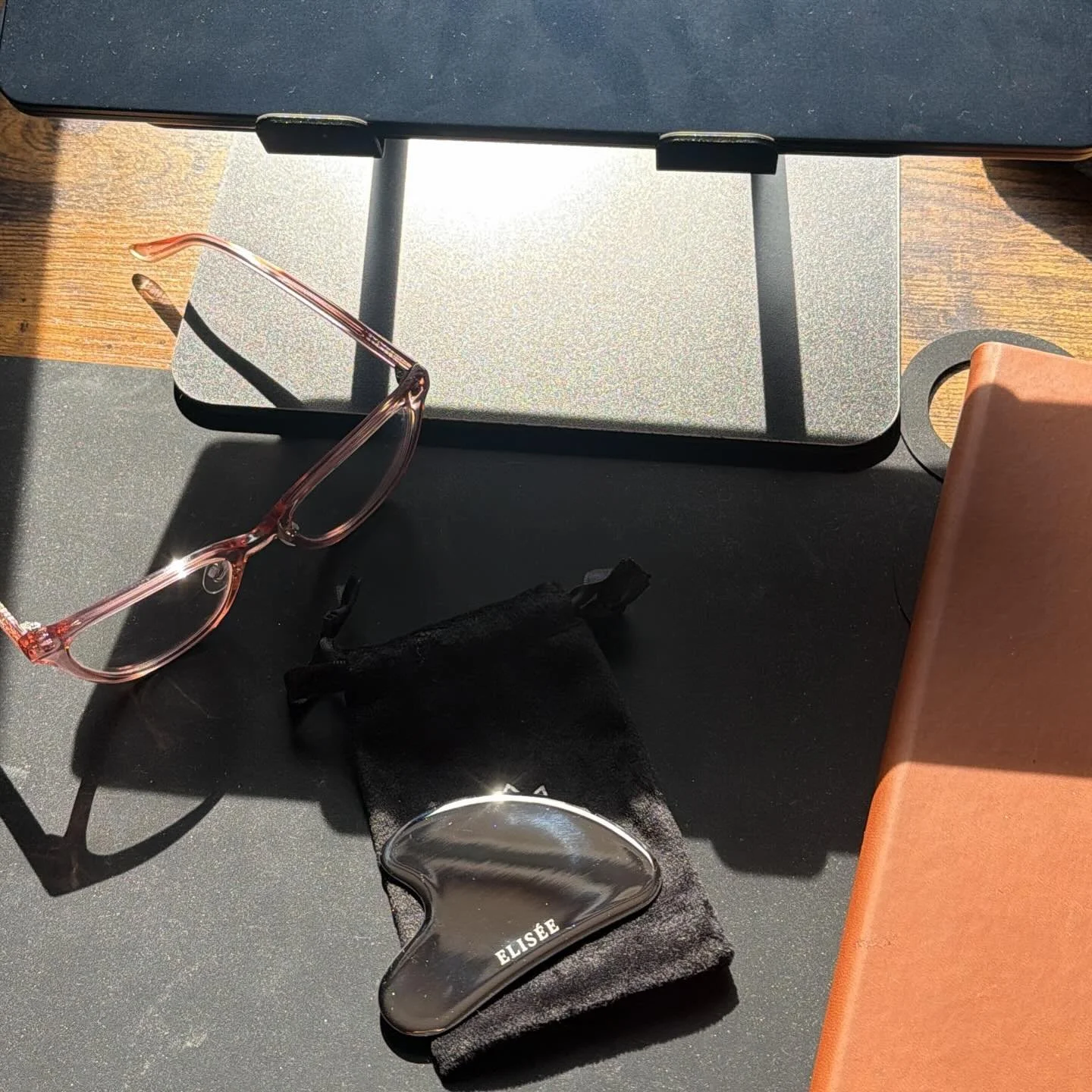 ELIS&Eacute;E in progress&hellip;.