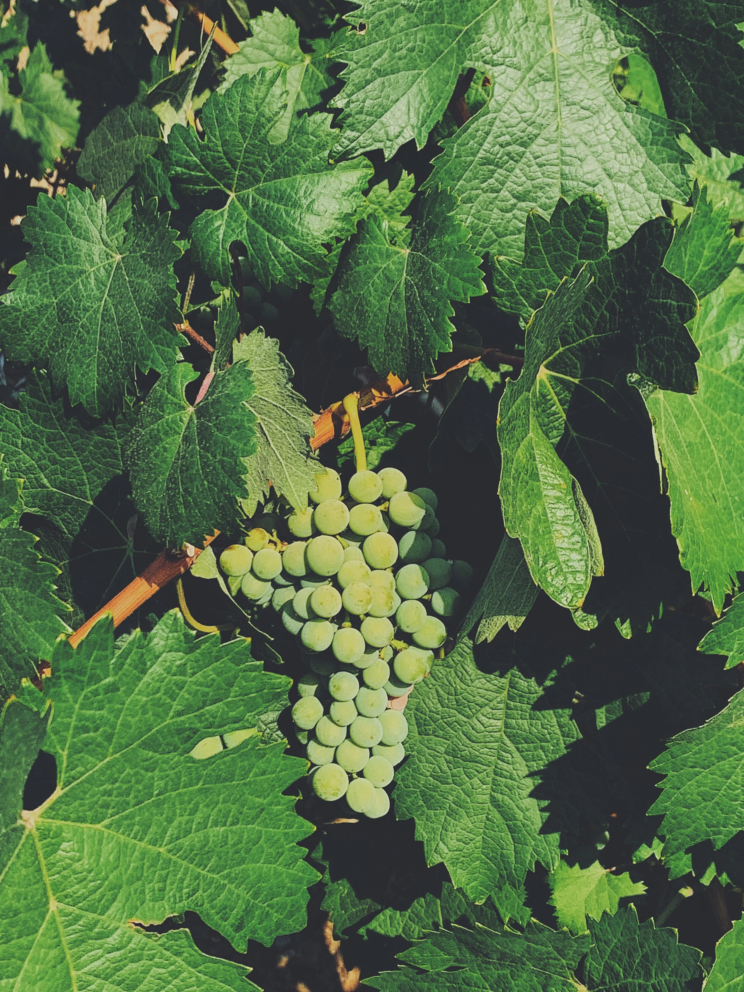 I know we say this a-lot but this is why we love Cyprus